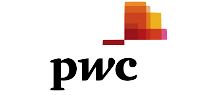 pwc Logo